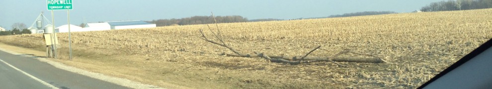 The Log